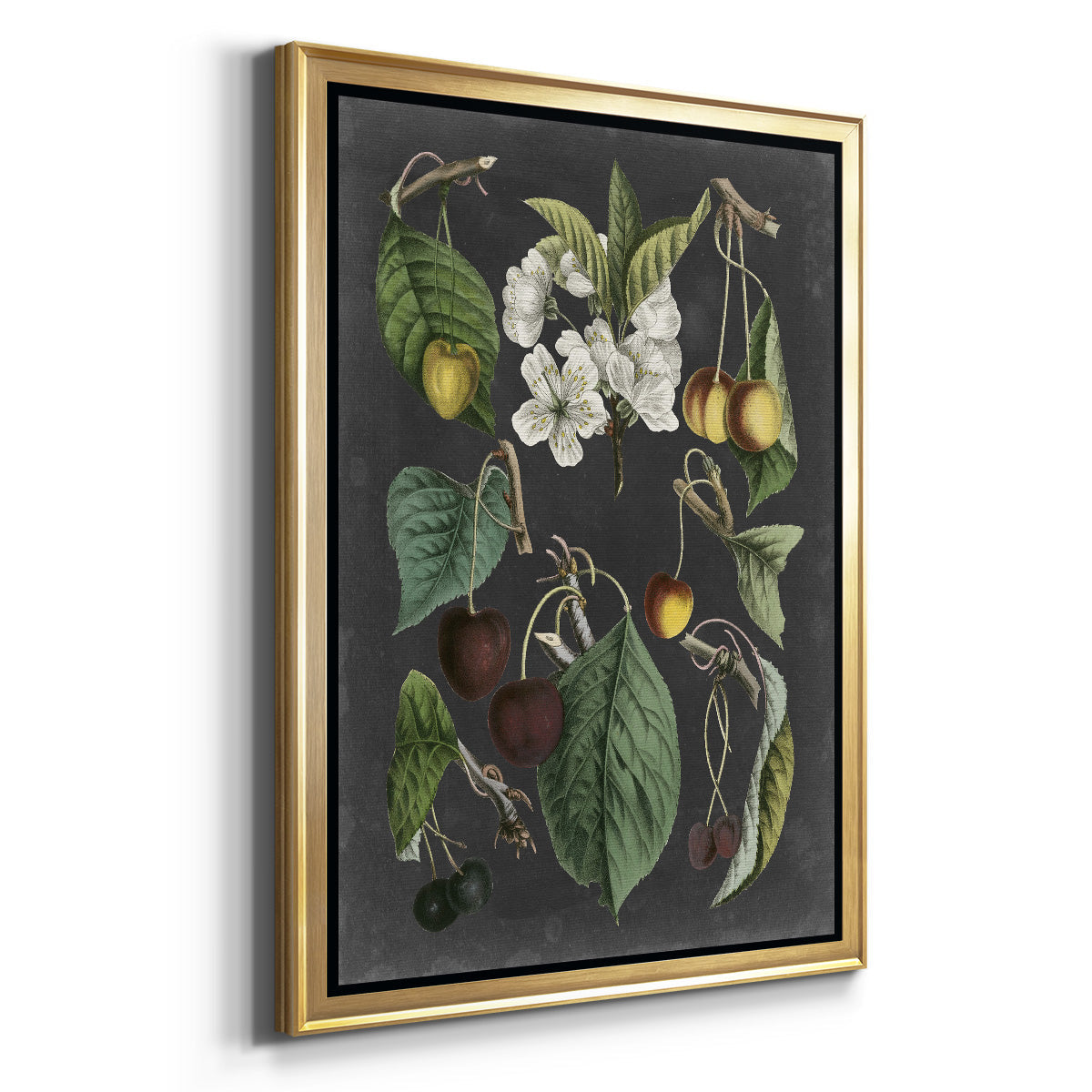 Orchard Varieties II - Modern Framed Canvas Print