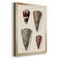 Cone Shell Collection I - Modern Framed Canvas Print