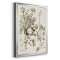 Sepia Botanical Journal IX - Modern Framed Canvas Print