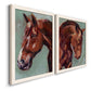 Paint by Number Horse I - Premium Framed Canvas 2 Piece Set - Ready to Hang