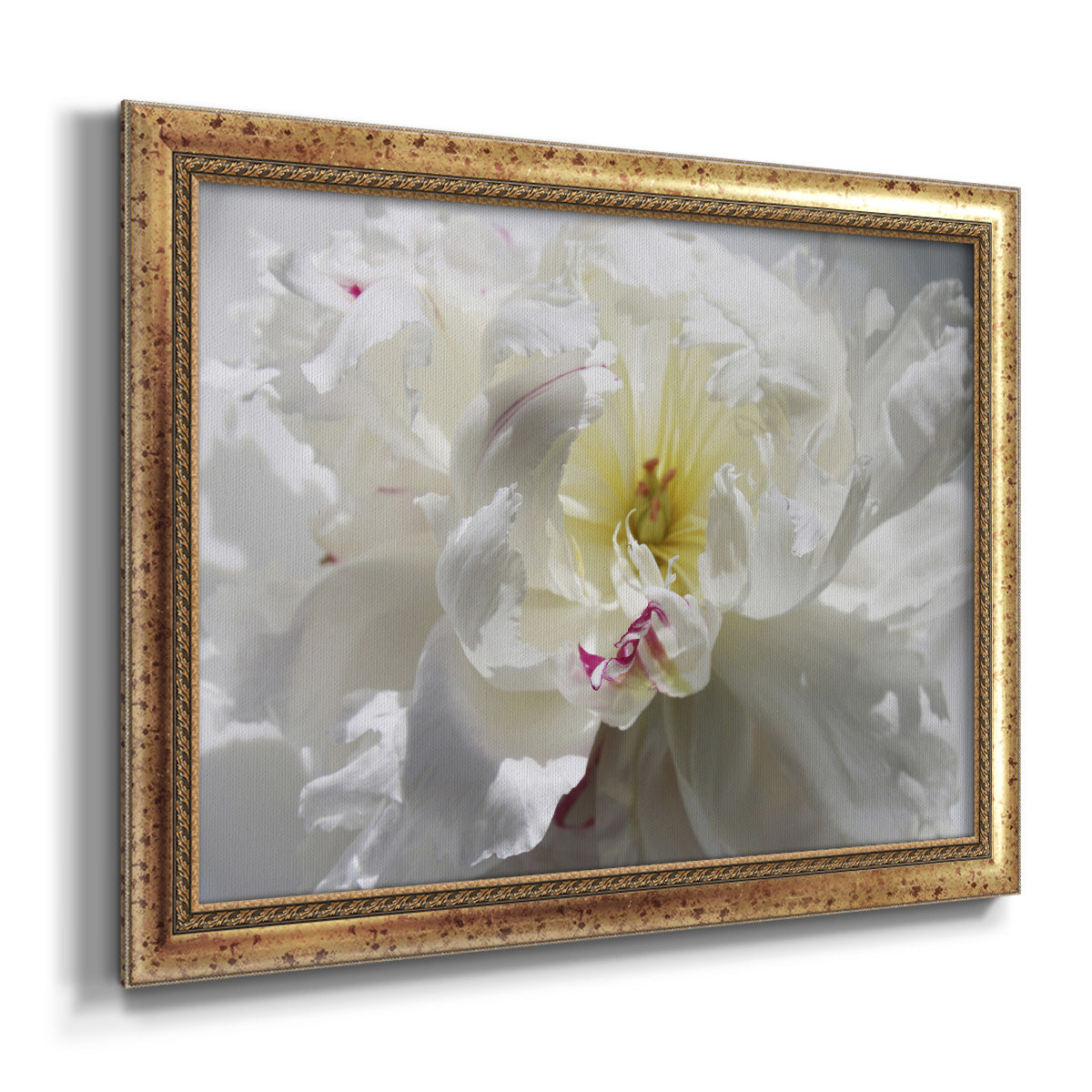 Breathless III Premium Framed Canvas- Ready to Hang