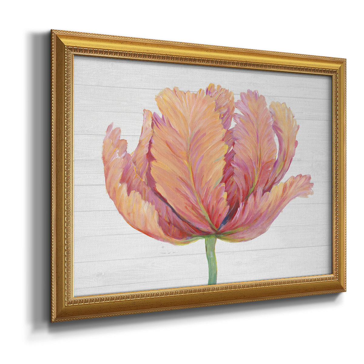 Single Pink Bloom I Premium Framed Canvas- Ready to Hang