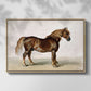 A Cart-Horse - Floater Framed Canvas Print