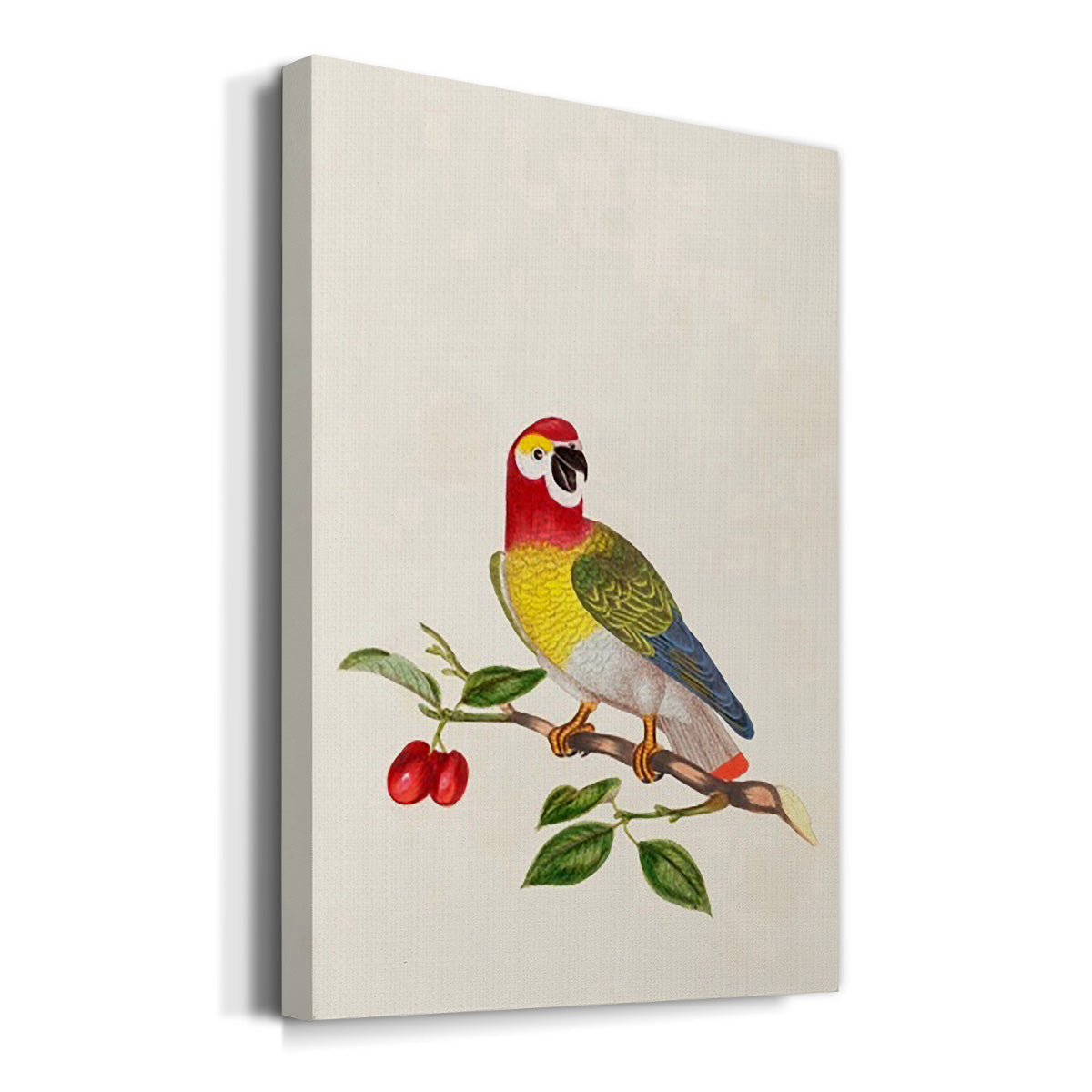 Bird in Habitat VI Premium Gallery Wrapped Canvas - Ready to Hang