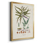 Botanical Society Ferns VIII - Modern Framed Canvas Print