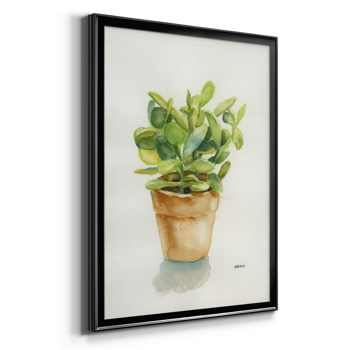 Succulent I - Modern Framed Canvas Print