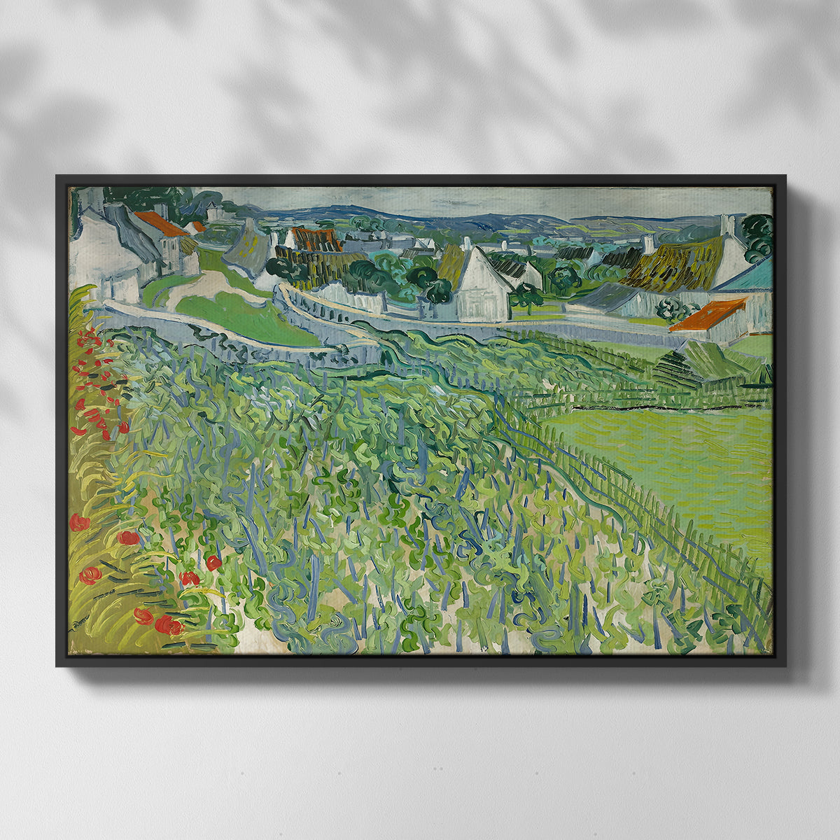 Vineyards at Auvers, 1890 - Floater Framed Canvas Print