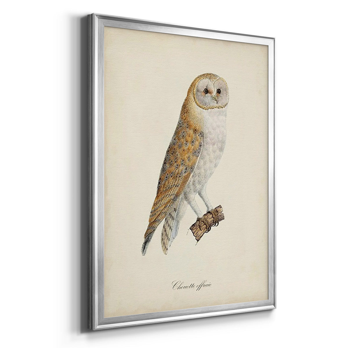 French Owls VI - Modern Framed Canvas Print