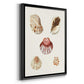 Pastel Knorr Shells V - Modern Framed Canvas Print