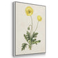 Flowers of the Seasons X - Framed Premium Gallery Wrapped Canvas L Frame 3 Piece Set - Ready to Hang