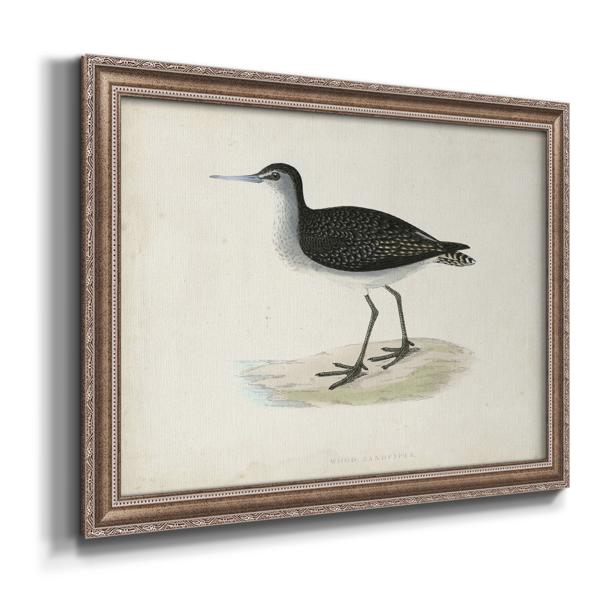 Morris Sandpipers VIII Premium Framed Canvas- Ready to Hang