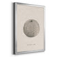 Shore Treasure Study I - Modern Framed Canvas Print