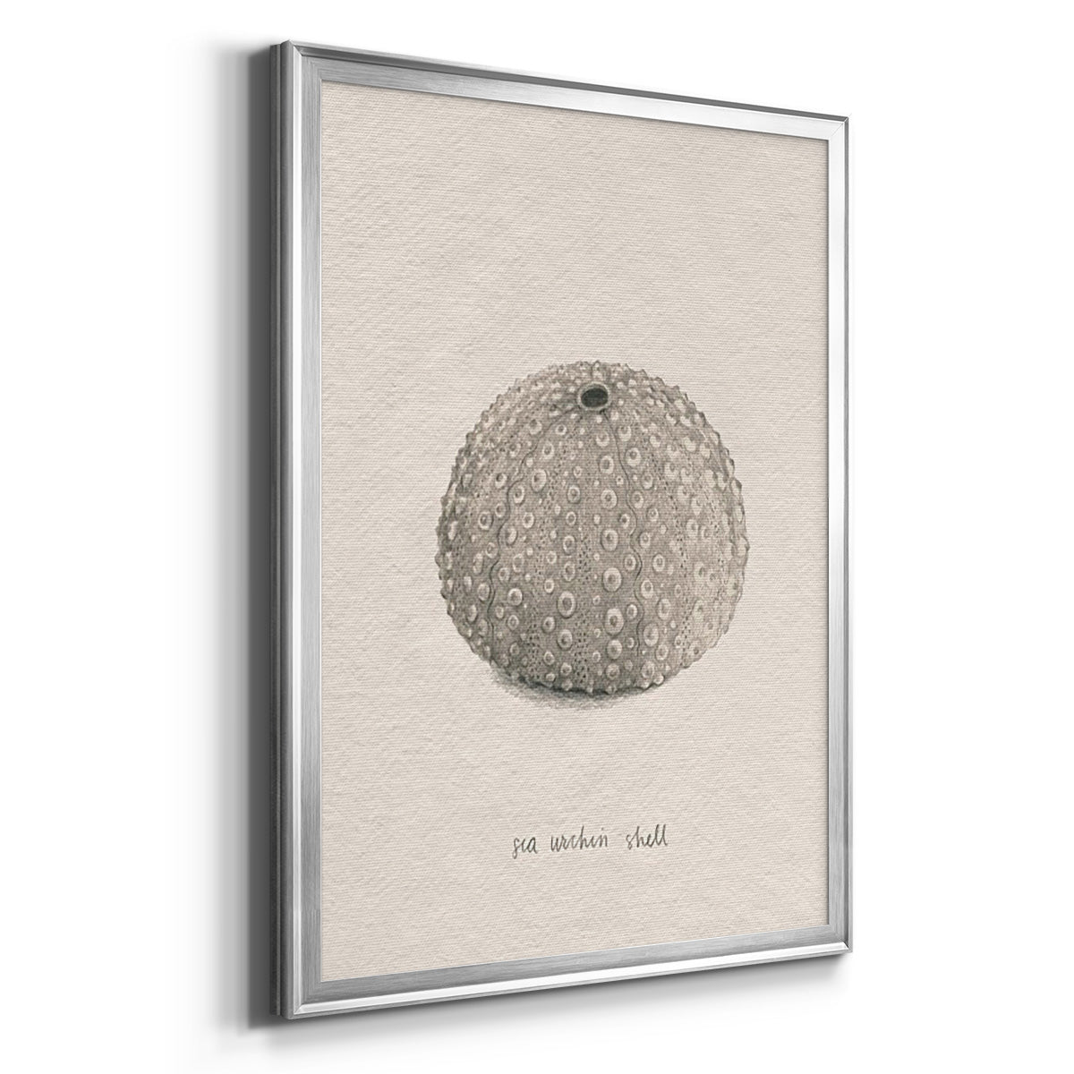 Shore Treasure Study I - Modern Framed Canvas Print
