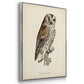 French Owls I - Framed Premium Gallery Wrapped Canvas L Frame 3 Piece Set - Ready to Hang