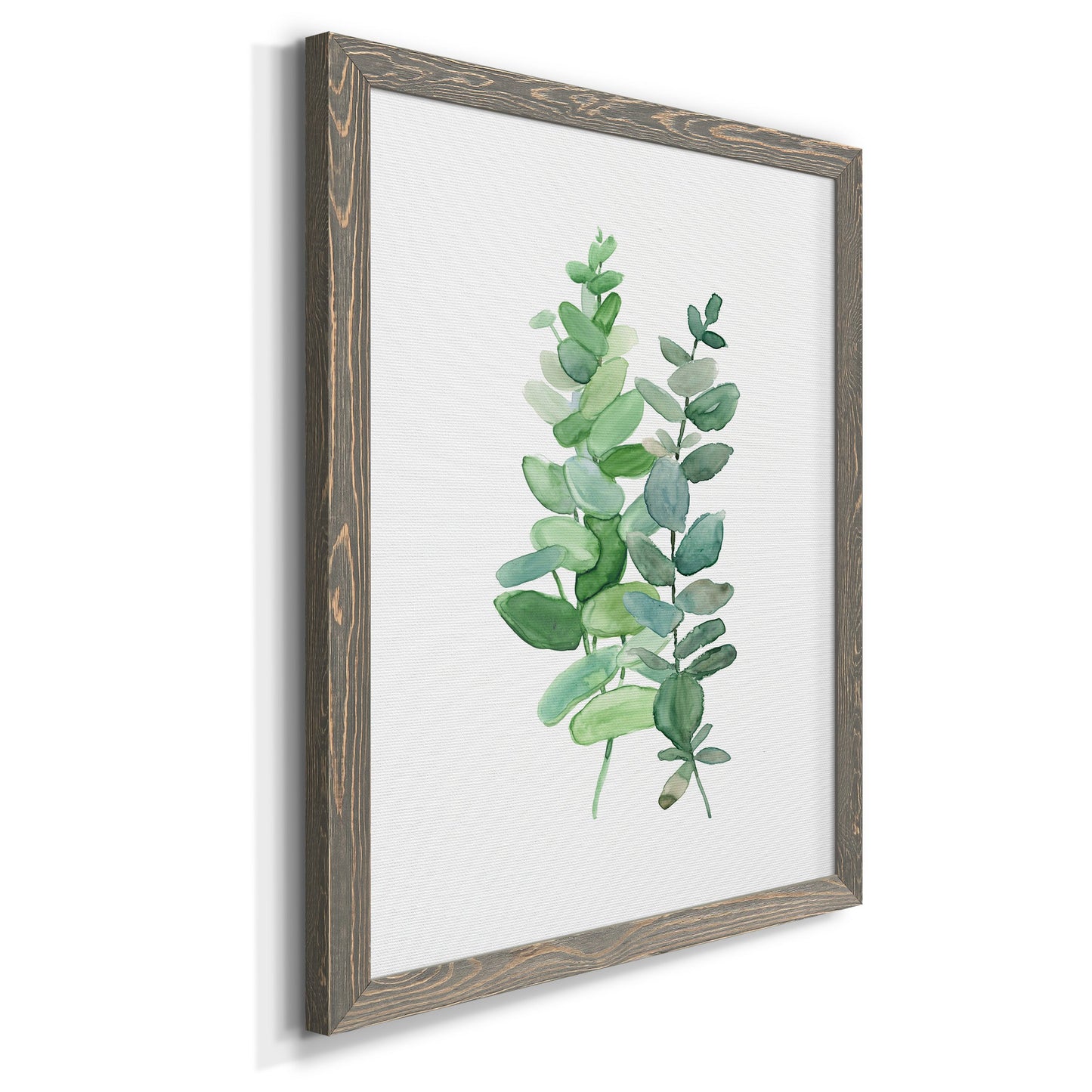 Eucalyptus II - Barnwood Framed Canvas Print