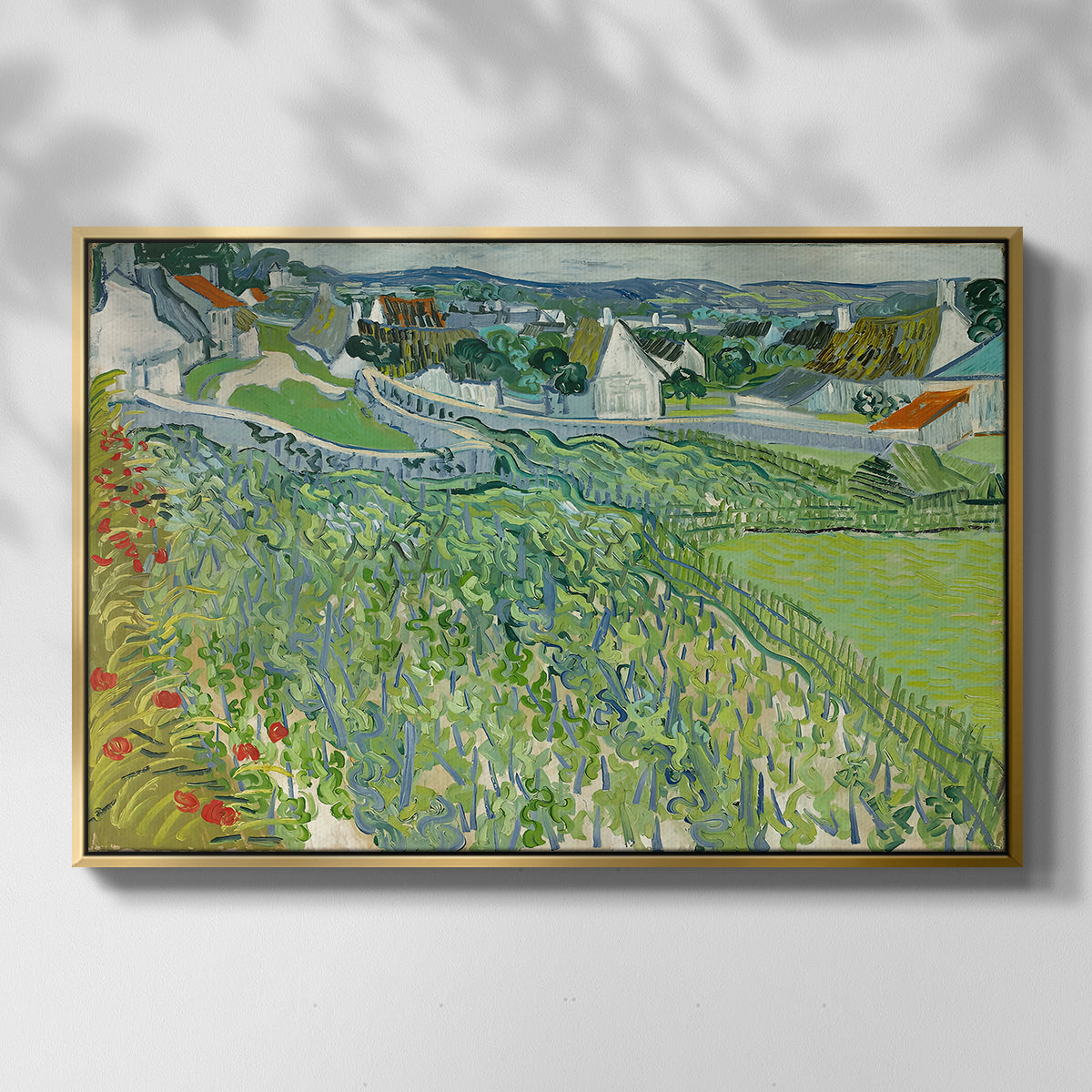 Vineyards at Auvers, 1890 - Floater Framed Canvas Print