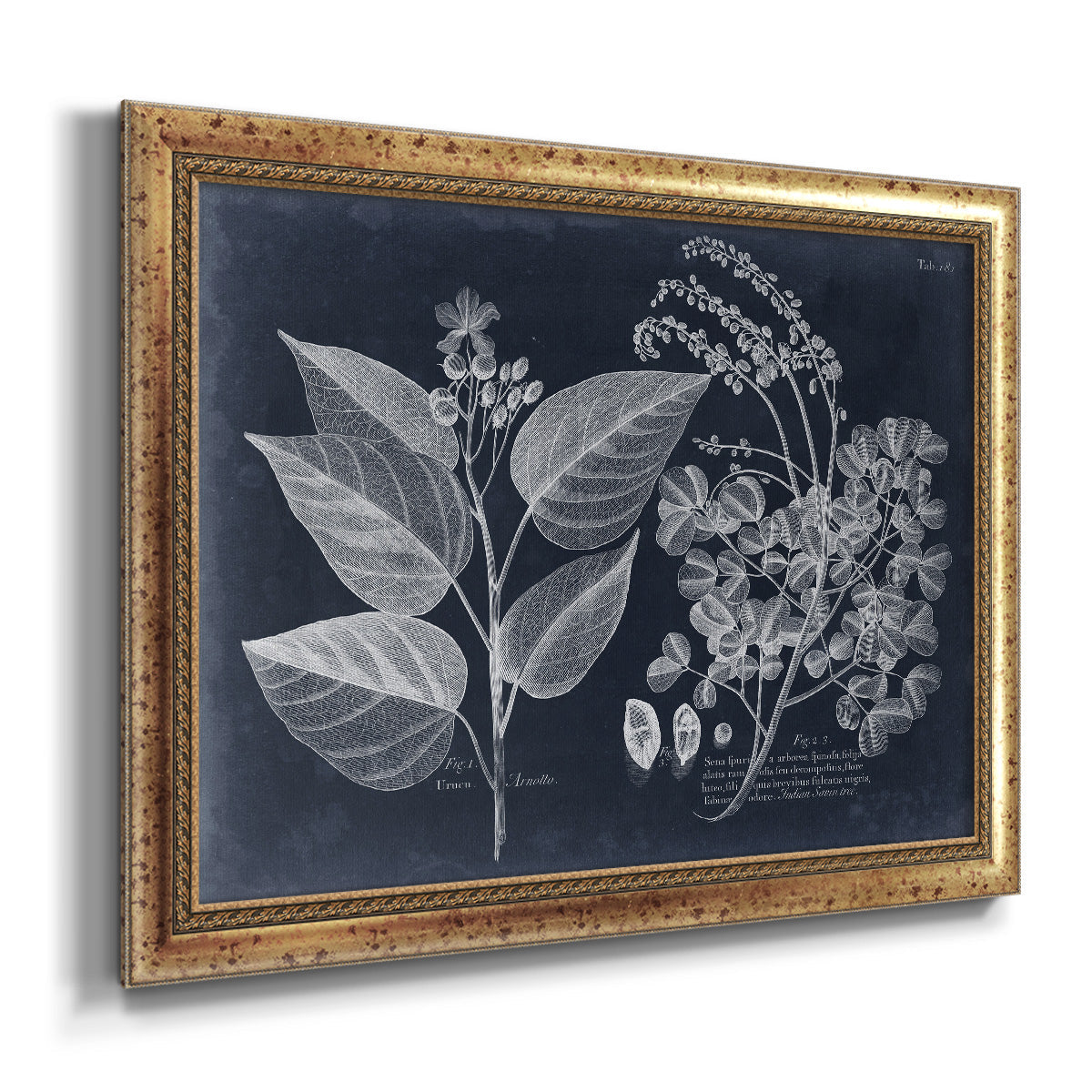 Foliage on Navy III Premium Framed Canvas- Ready to Hang