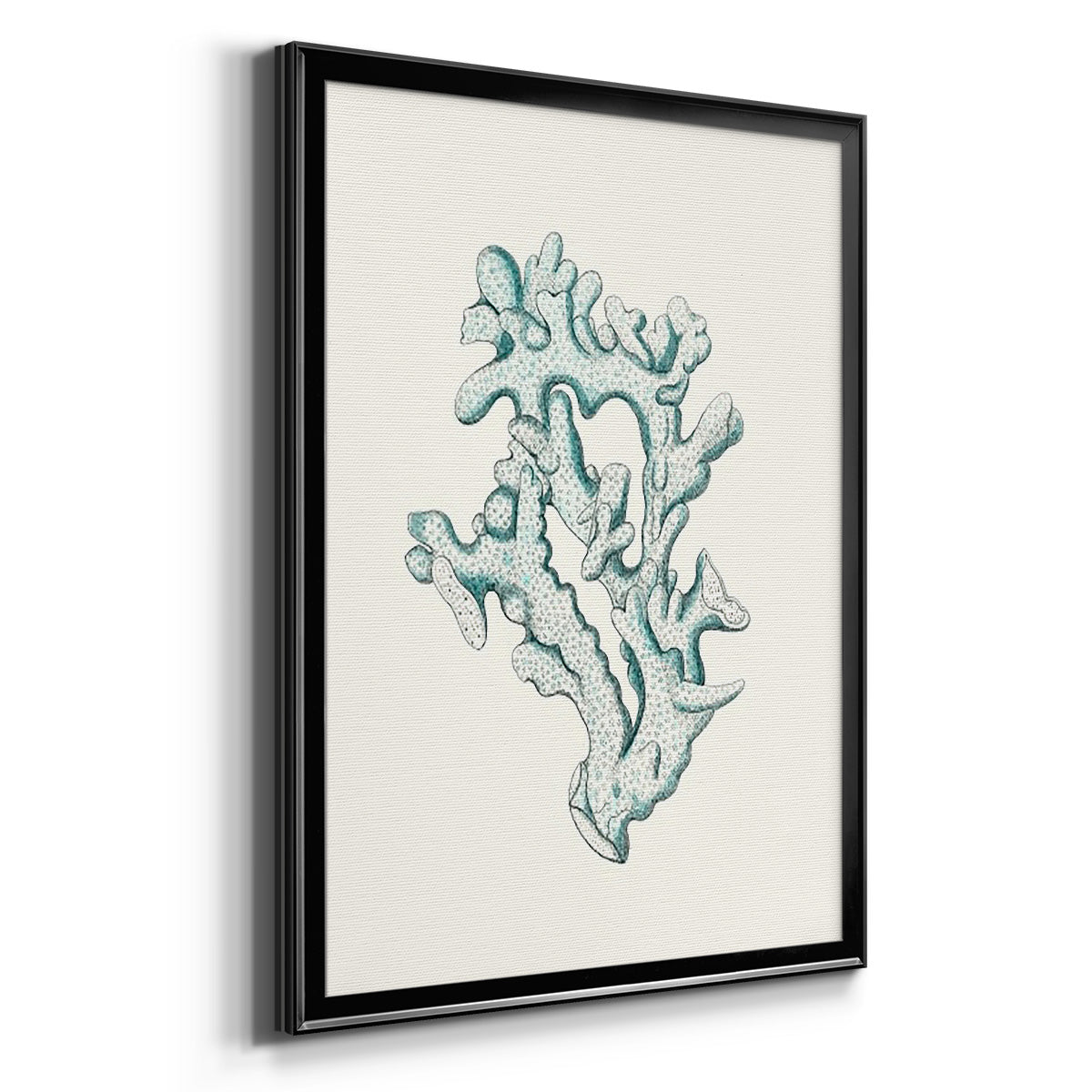 Antique Coastal Coral IV - Modern Framed Canvas Print