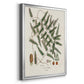 Botanical Society Ferns X - Modern Framed Canvas Print