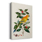 Bird in Habitat V Premium Gallery Wrapped Canvas - Ready to Hang