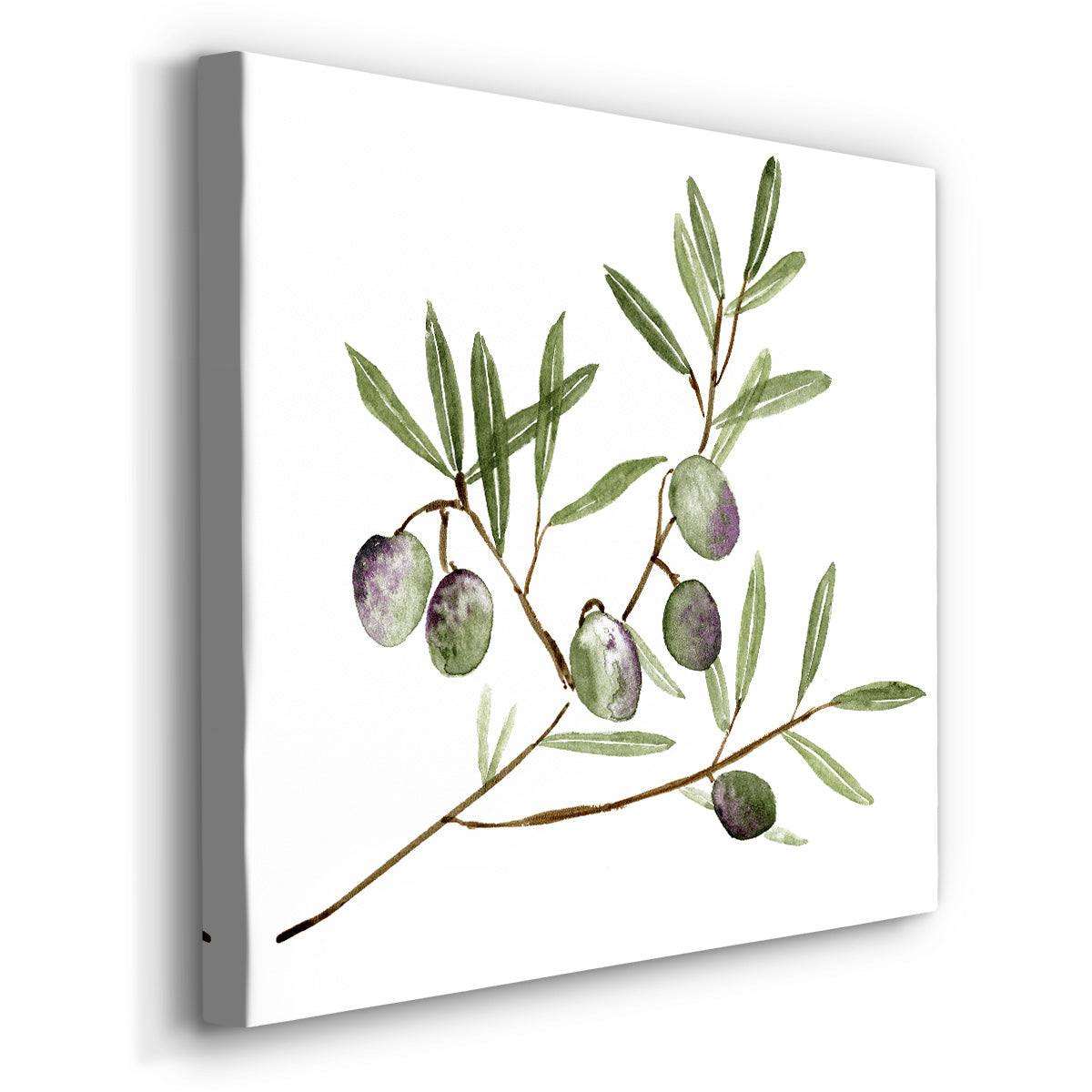 Olive Branch II - Canvas Art Print