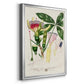 Imperial Tropical Botanical II - Modern Framed Canvas Print