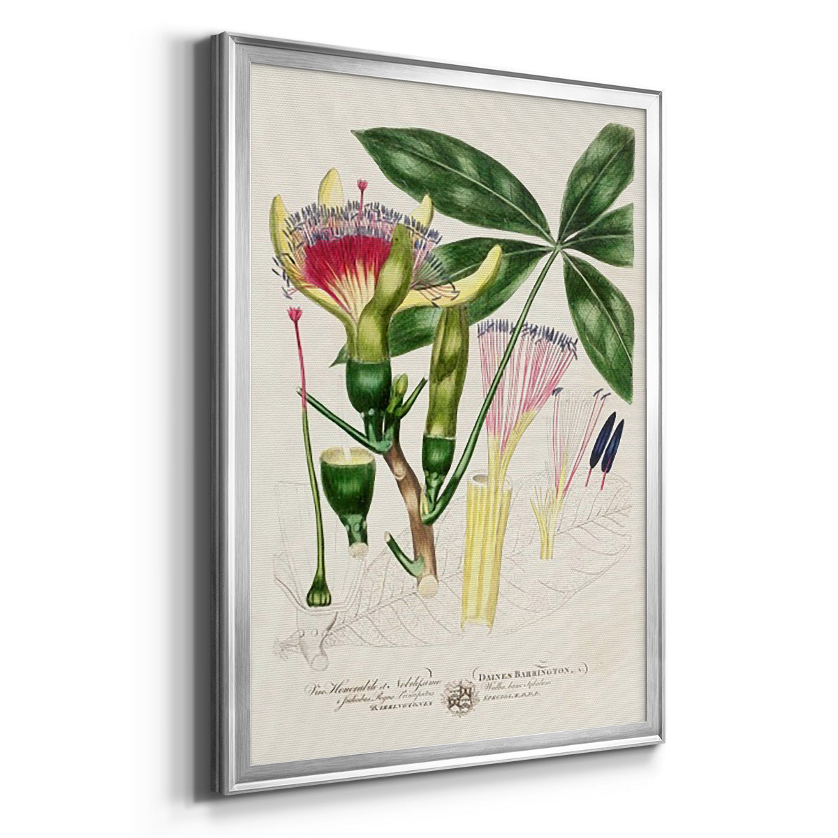 Imperial Tropical Botanical II - Modern Framed Canvas Print