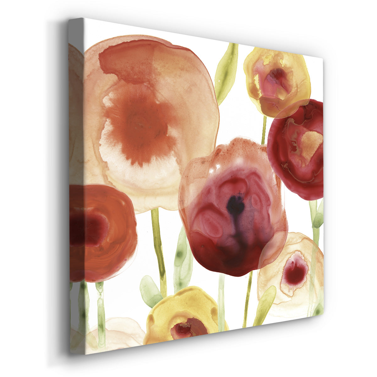 Poppy Patch II - Canvas Art Print