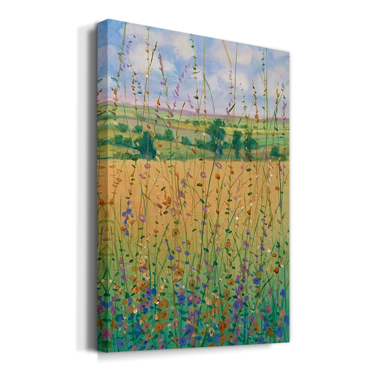 Wildflower Path II Premium Gallery Wrapped Canvas - Ready to Hang