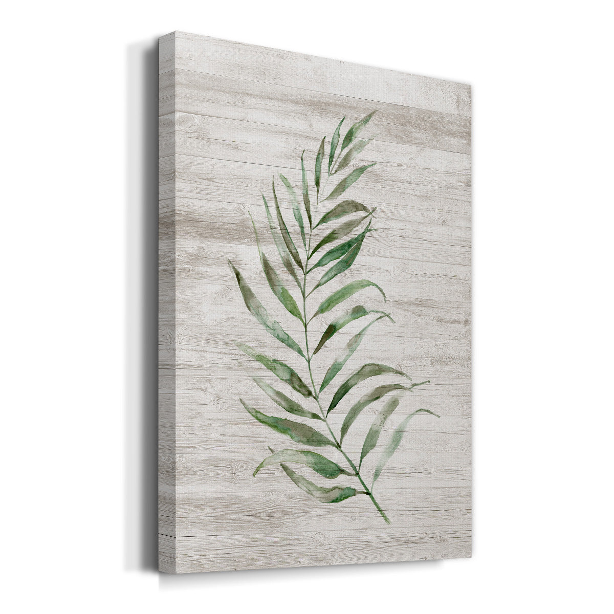 Tropic Frond I Premium Gallery Wrapped Canvas - Ready to Hang