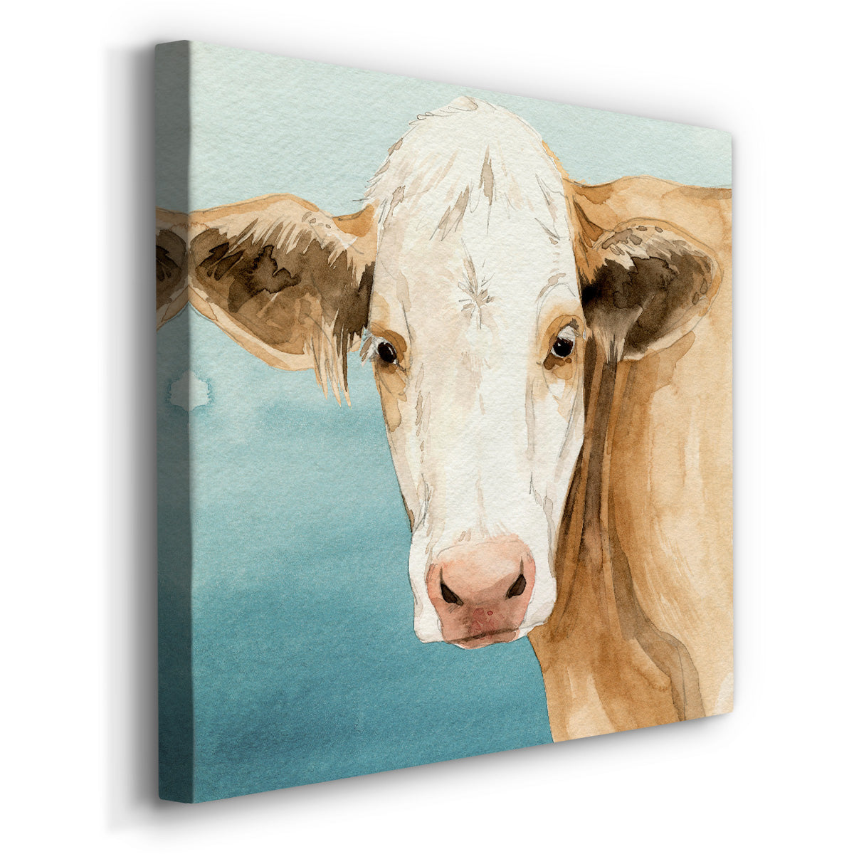 Hereford Stare II-Premium Gallery Wrapped Canvas - Ready to Hang