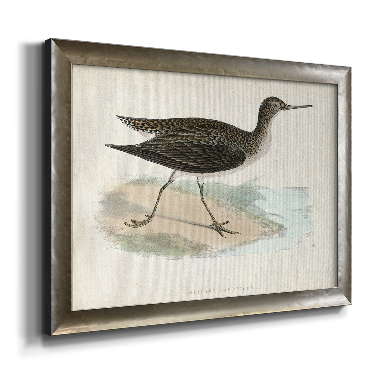 Morris Sandpipers VII Premium Framed Canvas- Ready to Hang