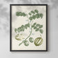 Buchoz Tropicals II - Restickable Framed Art Print