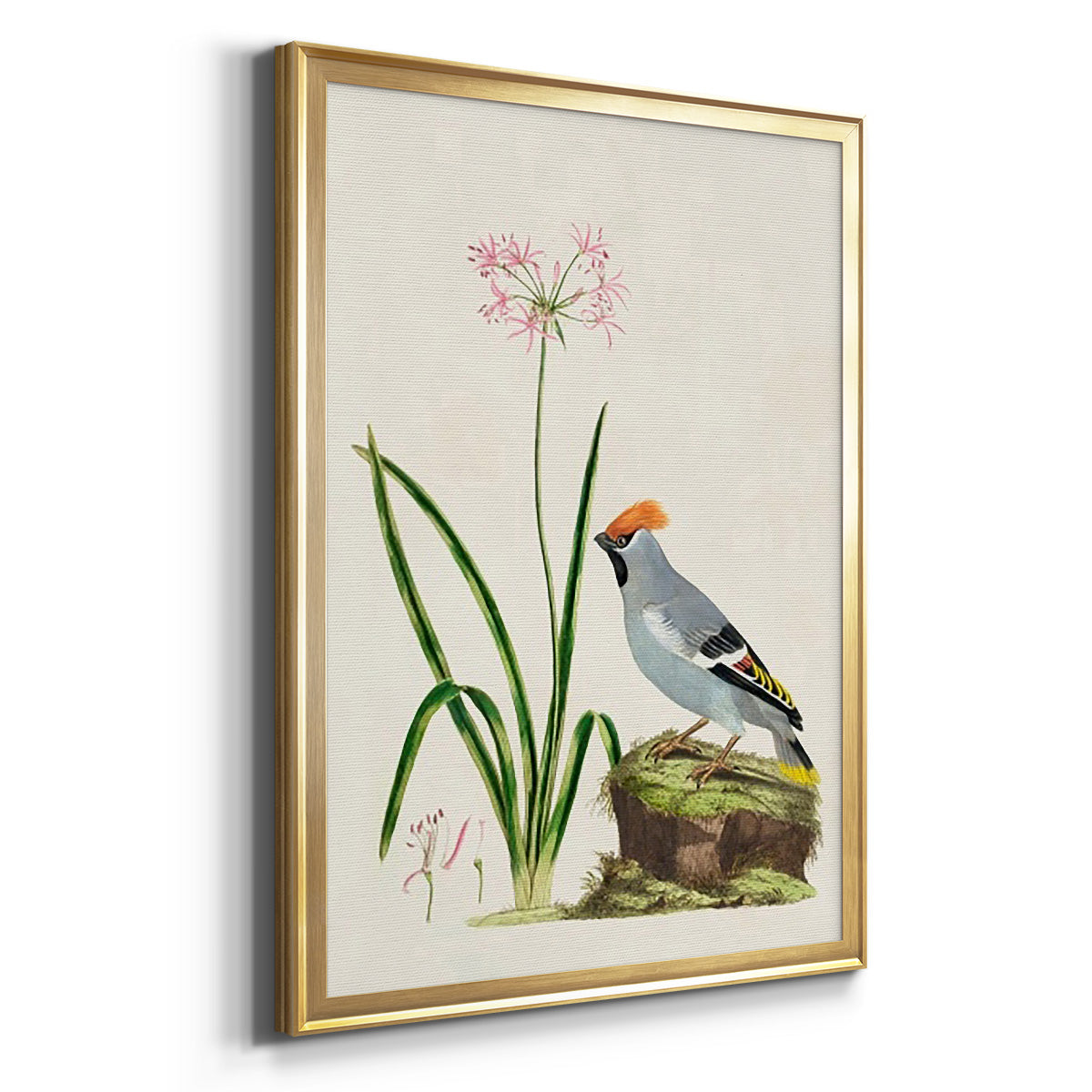 Bird in Habitat II - Modern Framed Canvas Print