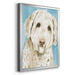 Labradoodle I - Modern Framed Canvas Print