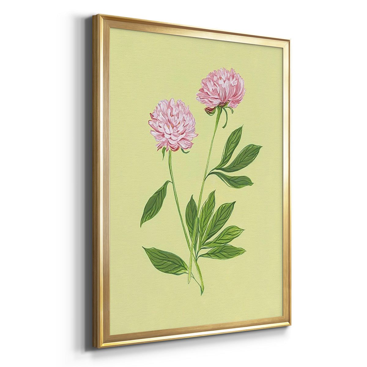 Peonies in Yellow II - Modern Framed Canvas Print