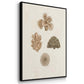 Knorr Shells & Coral VI - Framed Premium Gallery Wrapped Canvas L Frame 3 Piece Set - Ready to Hang