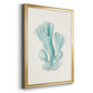 Antique Coastal Coral XI - Modern Framed Canvas Print