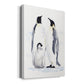 Emperor Penguins II Premium Gallery Wrapped Canvas - Ready to Hang