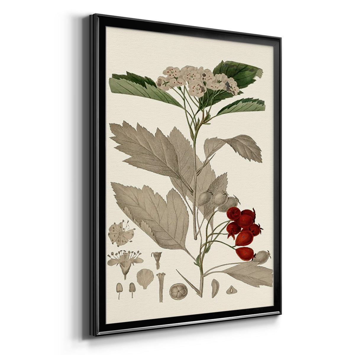 Leaves & Berries I - Modern Framed Canvas Print