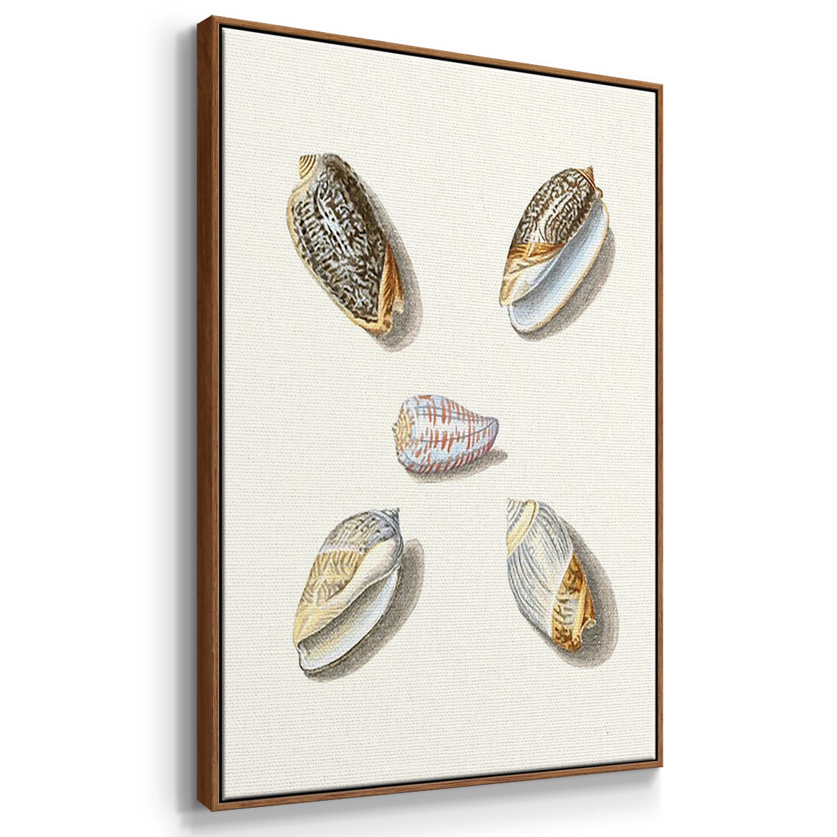 Pastel Knorr Shells I - Framed Premium Gallery Wrapped Canvas L Frame 3 Piece Set - Ready to Hang