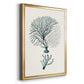 Antique Coastal Coral III - Modern Framed Canvas Print