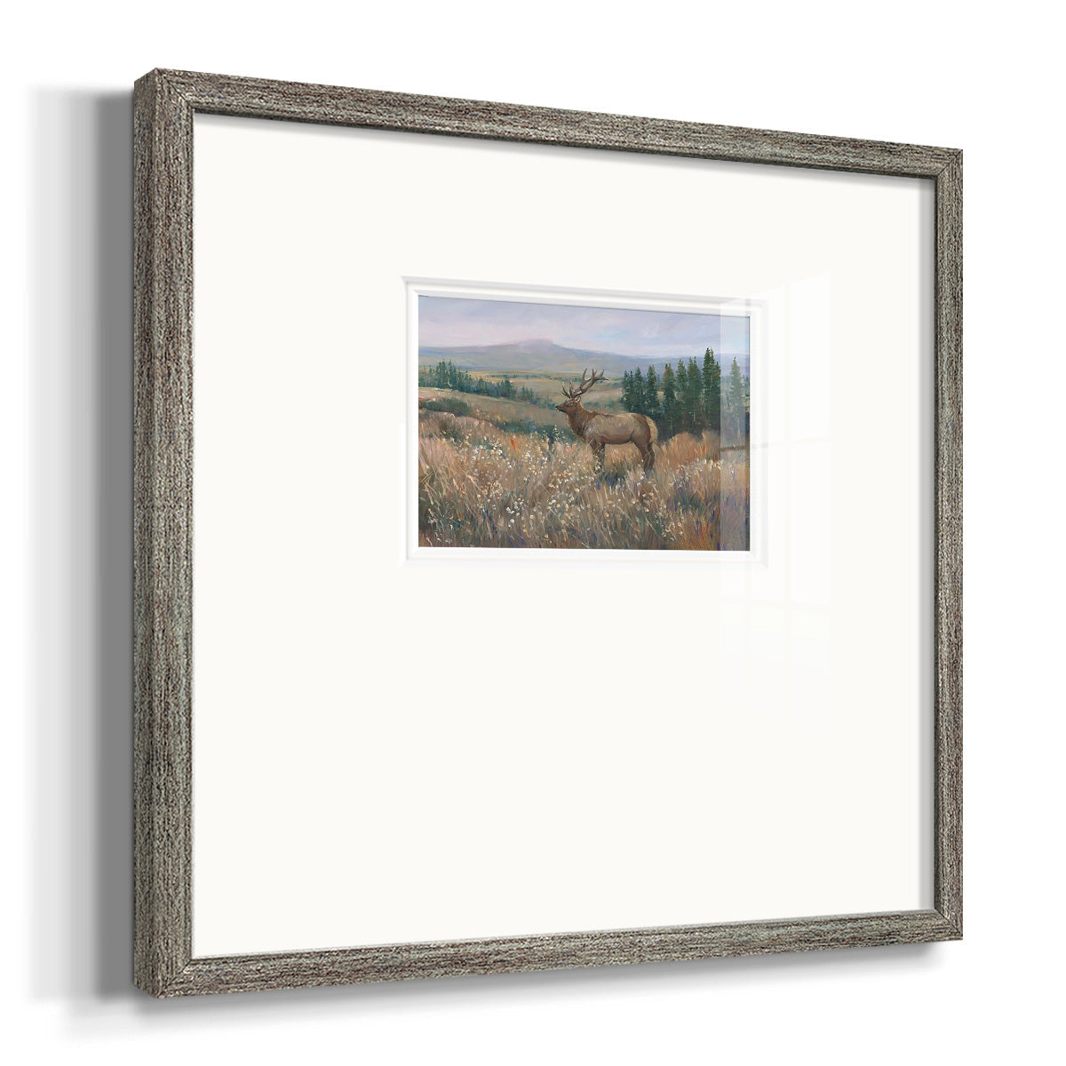 Western Wildlife II Premium Framed Print Double Matboard