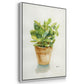 Succulent I - Framed Premium Gallery Wrapped Canvas L Frame - Ready to Hang