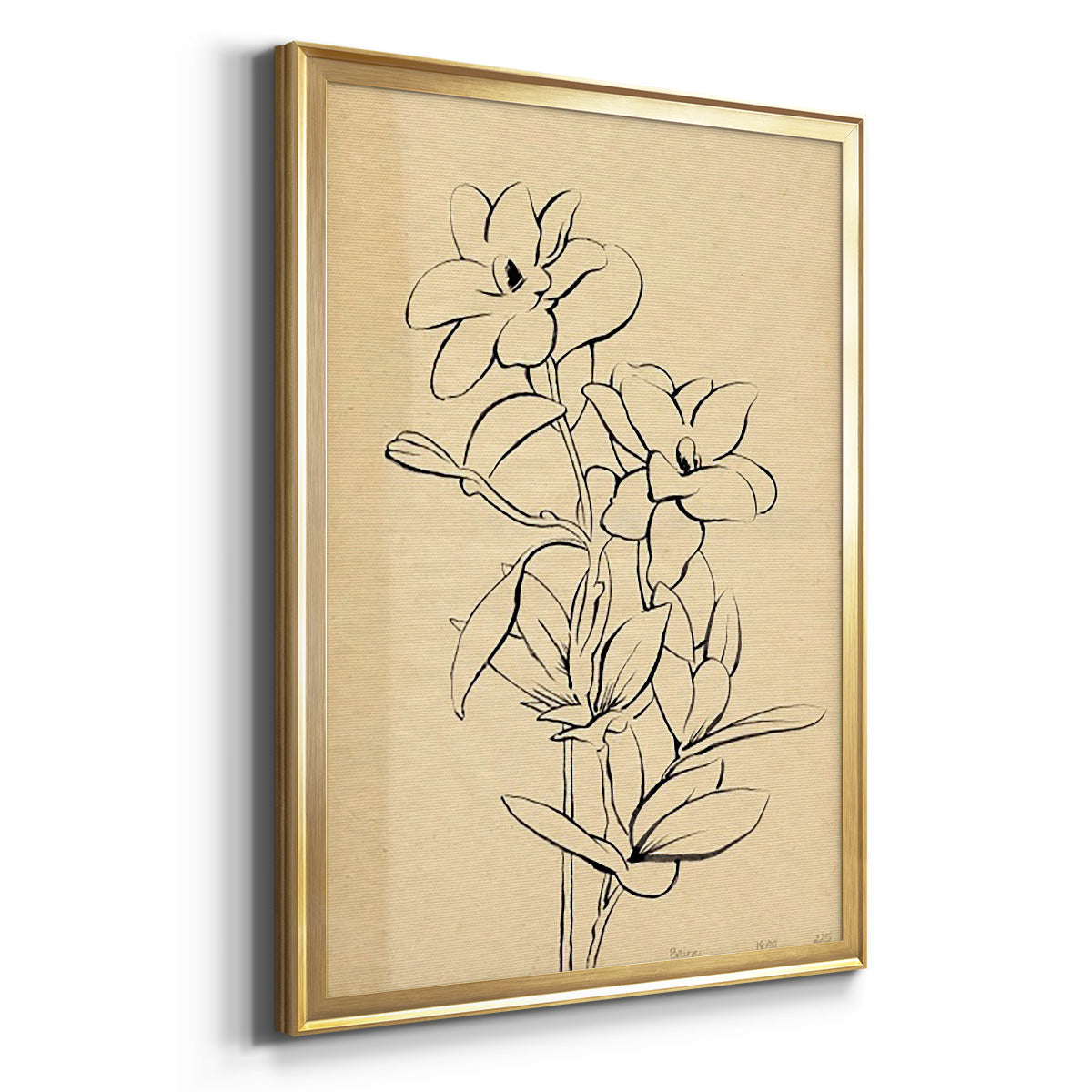 Magnolia Sketch I - Modern Framed Canvas Print