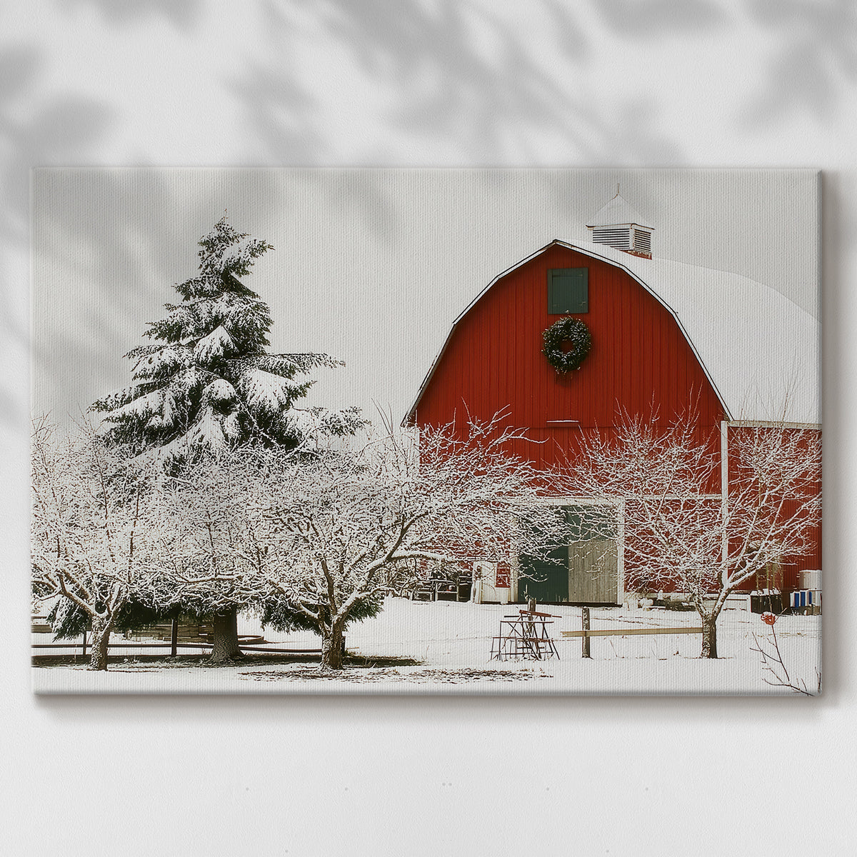 Morning of Sugar Whisper - Canvas Art Print