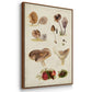 Mushroom Species I - Framed Premium Gallery Wrapped Canvas L Frame 3 Piece Set - Ready to Hang