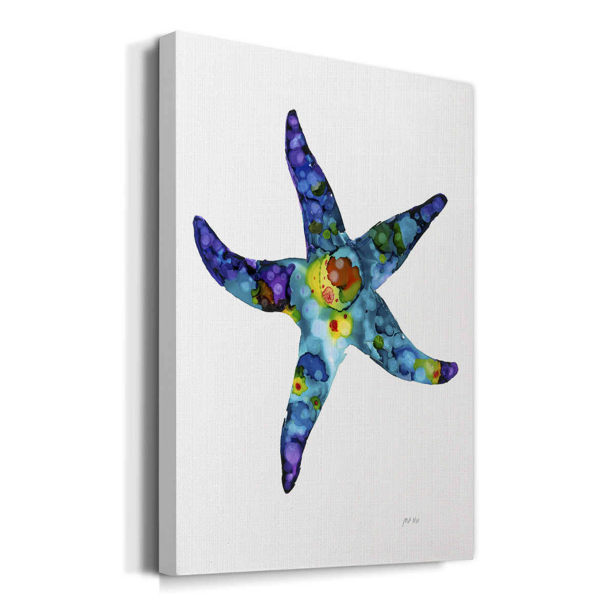 Sea Star Premium Gallery Wrapped Canvas - Ready to Hang