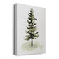 Watercolor Pine II Premium Gallery Wrapped Canvas - Ready to Hang