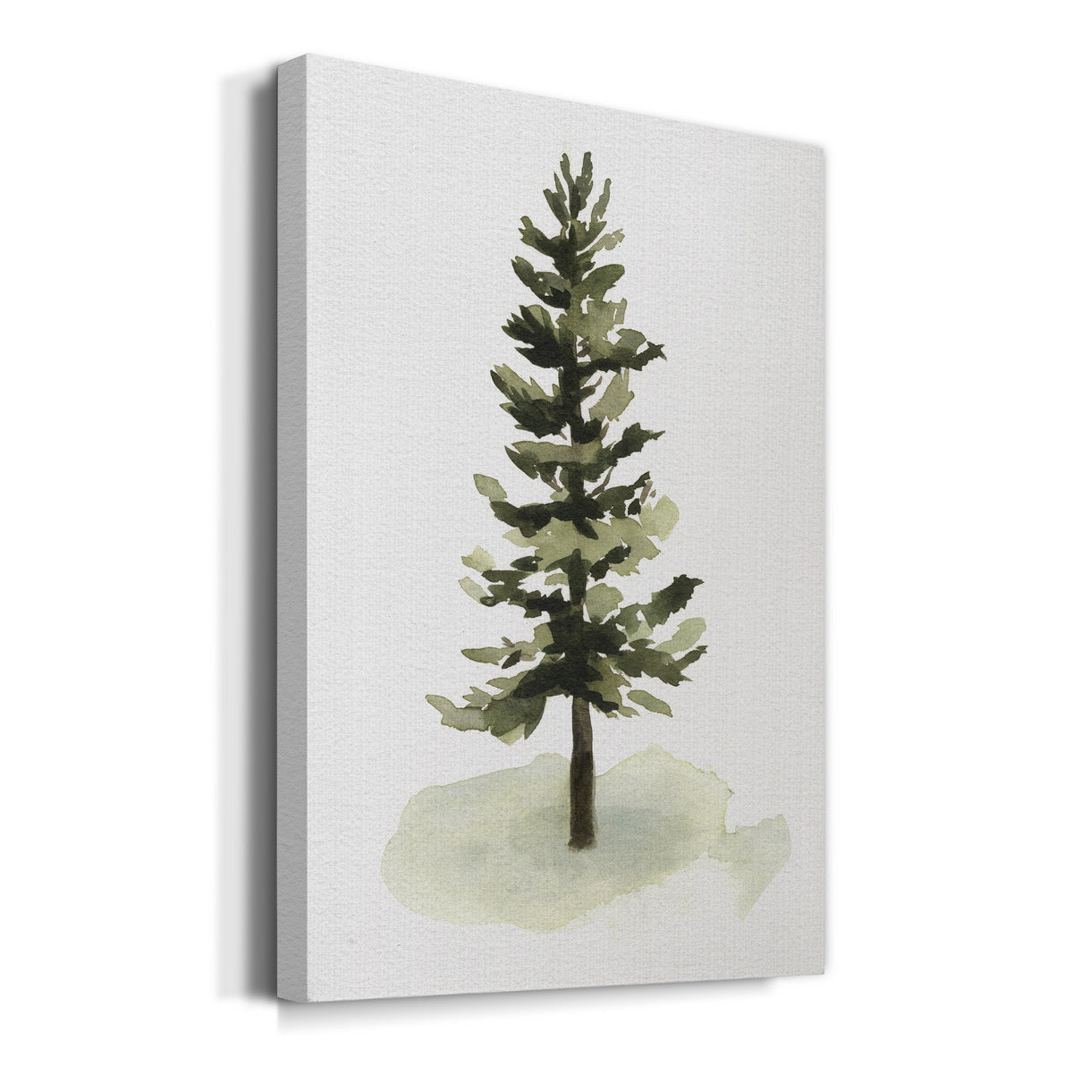 Watercolor Pine II Premium Gallery Wrapped Canvas - Ready to Hang